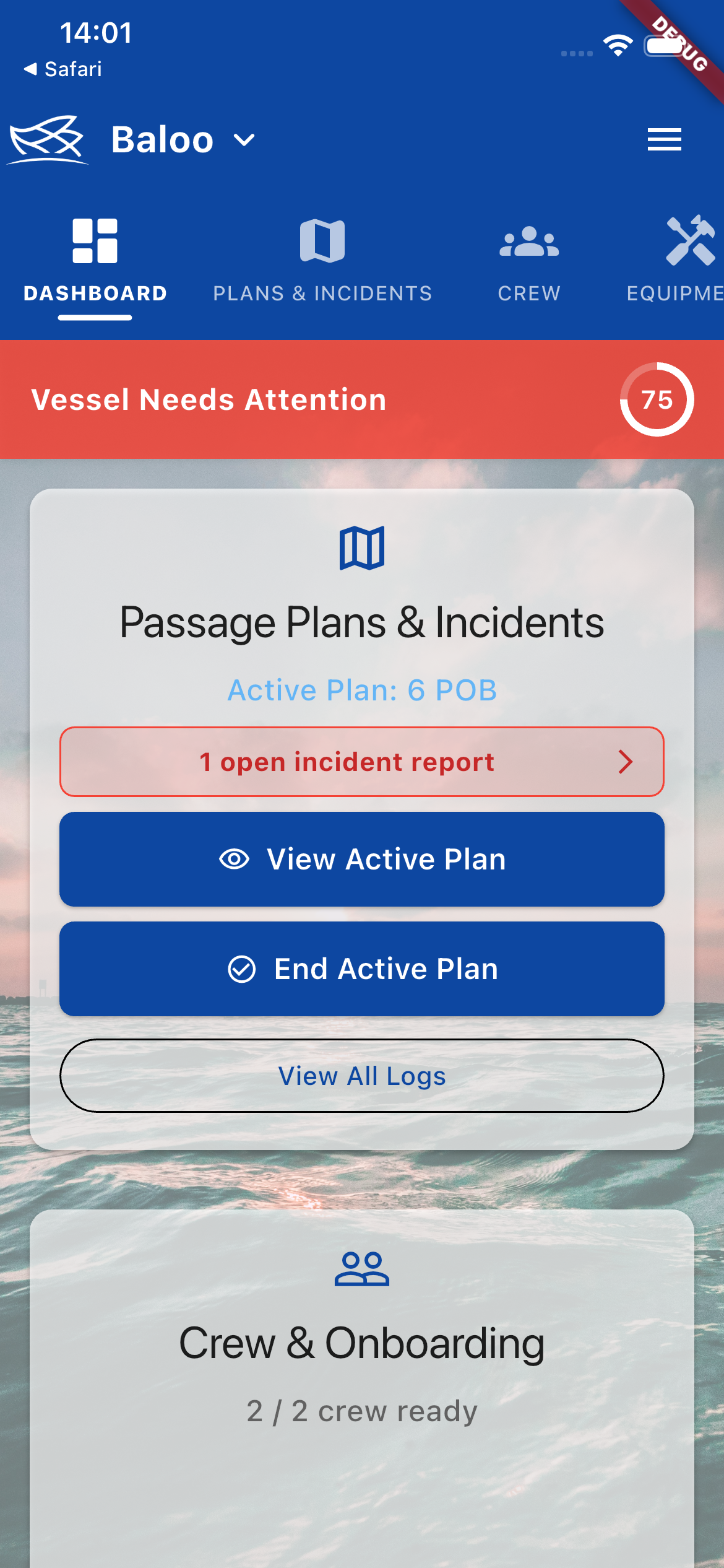 Safe Net Skipper Dashboard Interface